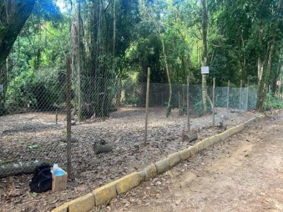 Imagem Terreno à Venda, 1.100 m² em Praia Do Felix - Ubatuba Imagem Terreno à Venda, 1.100 m² em Praia Do Felix - Ubatuba