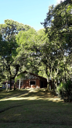 Imagem Chácara com 3 Quartos à Venda, 129 m² em Centro - Campo Largo
