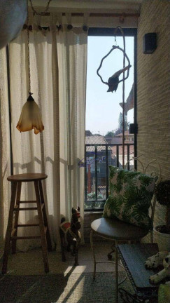 Imagem Casa com 3 Quartos à Venda, 250 m² em Jardim Bonfiglioli - São Paulo Imagem Casa com 3 Quartos à Venda, 250 m² em Jardim Bonfiglioli - São Paulo