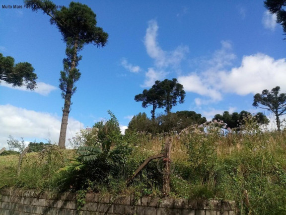 Imagem Terreno à Venda, 1.051 m² em Vila Germânia - Nova Petrópolis Imagem Terreno à Venda, 1.051 m² em Vila Germânia - Nova Petrópolis