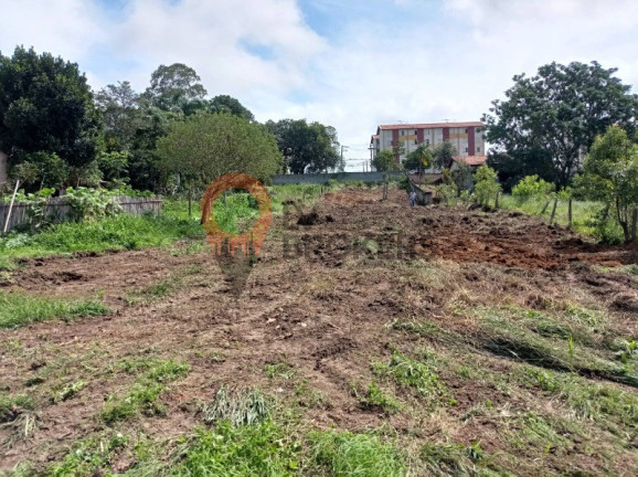 Imagem Terreno à Venda, 3.000 m² em Vila Nova Aparecida - Mogi Das Cruzes