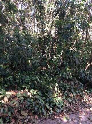 Imagem Terreno à Venda, 1.300 m² em Altos De São Fernando - Jandira Imagem Terreno à Venda, 1.300 m² em Altos De São Fernando - Jandira