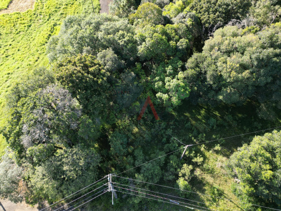 Terreno à Venda, 375 m² em Boqueirão - Guarapuava