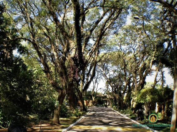 Imagem Terreno em Condomínio à Venda, 519 m² em Vila Vianna - Cotia Imagem Terreno em Condomínio à Venda, 519 m² em Vila Vianna - Cotia