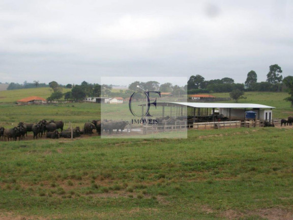 Imagem Fazenda à Venda, 297 m² em Rural - Santana Do Itararé Imagem Fazenda à Venda, 297 m² em Rural - Santana Do Itararé