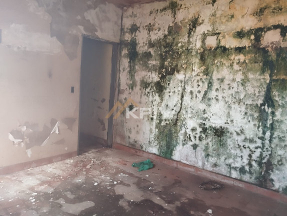 Imagem Casa com 5 Quartos à Venda, 150 m² em Vila Tibério - Ribeirão Preto