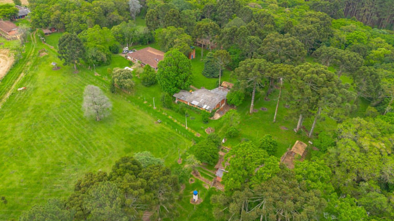 Imagem Imóvel com 4 Quartos à Venda, 411.400 m² em S/n - Lapa Imagem Imóvel com 4 Quartos à Venda, 411.400 m² em S/n - Lapa