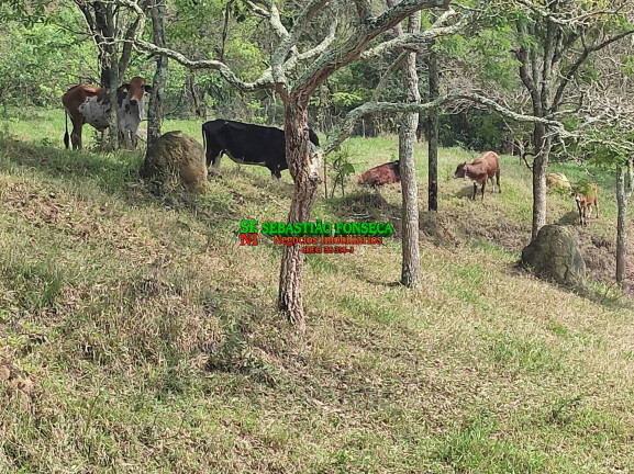 Chácara com 2 Quartos à Venda, 20.000 m² em área Rural De Caçapava - Caçapava