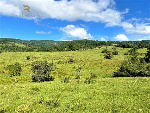 Imagem Chácara à Venda, 140.000 m² em Morungava - Gravataí Imagem Chácara à Venda, 140.000 m² em Morungava - Gravataí