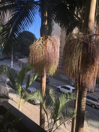 Imagem Apartamento com 3 Quartos à Venda, 100 m² em Vila Mariana - São Paulo