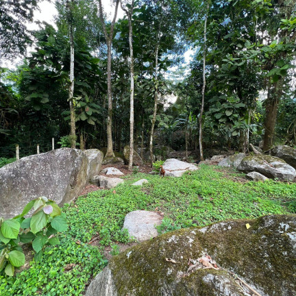 Imagem Terreno à Venda, 750 m² em Horto Florestal - Ubatuba Imagem Terreno à Venda, 750 m² em Horto Florestal - Ubatuba