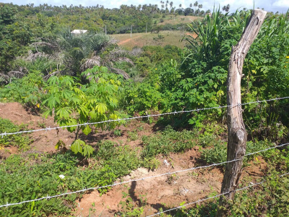 Imagem Terreno à Venda, 10.000 m² em Barra Do Jacuípe (monte Gordo) - Camaçari Imagem Terreno à Venda, 10.000 m² em Barra Do Jacuípe (monte Gordo) - Camaçari