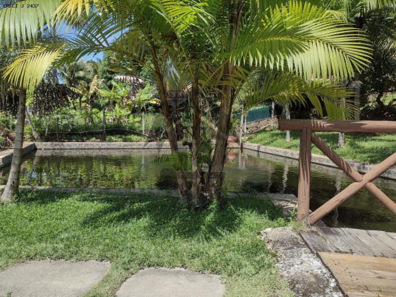 Imagem Casa com 4 Quartos à Venda, 900 m² em Jauá (abrantes) - Camaçari Imagem Casa com 4 Quartos à Venda, 900 m² em Jauá (abrantes) - Camaçari