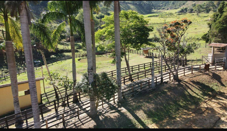 Imagem Chácara com 6 Quartos à Venda, 150.000 m² em Monte Belo - Santa Rita Do Sapucaí