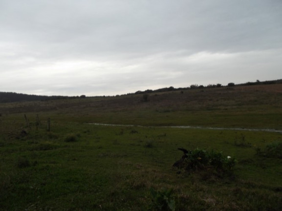 Imagem Chácara com 1 Quarto à Venda, 108.000 m² em Itapuã - Viamão