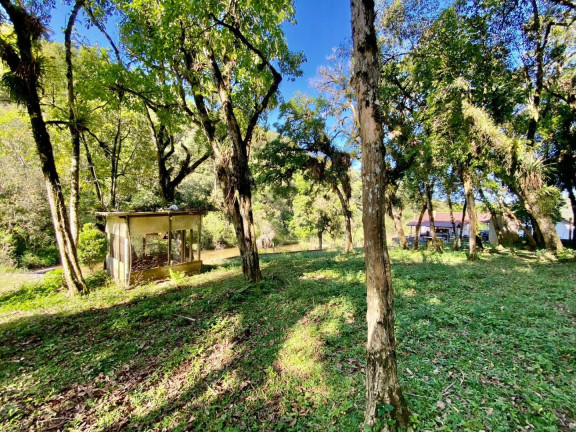 Imagem Fazenda à Venda, 220 m² em Boichininga - Almirante Tamandare Imagem Fazenda à Venda, 220 m² em Boichininga - Almirante Tamandare