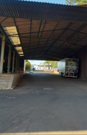 Imagem Casa para Alugar, 6.740 m² em Jardim Rosicler - Londrina Imagem Casa para Alugar, 6.740 m² em Jardim Rosicler - Londrina