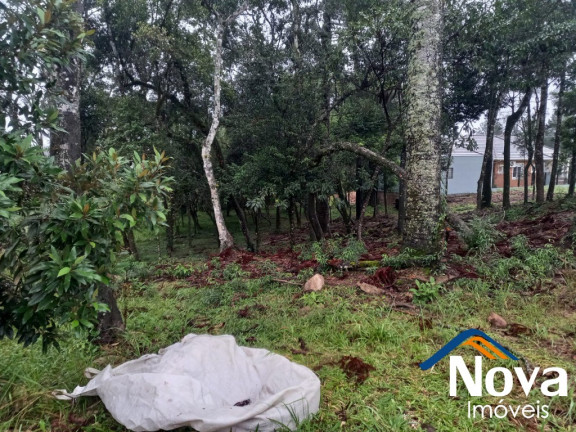 Imagem Imóvel à Venda, 811 m² em Vila Germânia - Nova Petrópolis