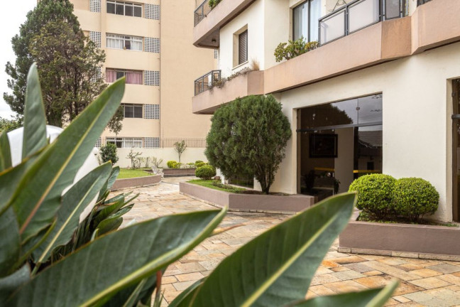 Imagem Imóvel com 3 Quartos à Venda, 75 m² em Jabaquara - São Paulo Imagem Imóvel com 3 Quartos à Venda, 75 m² em Jabaquara - São Paulo