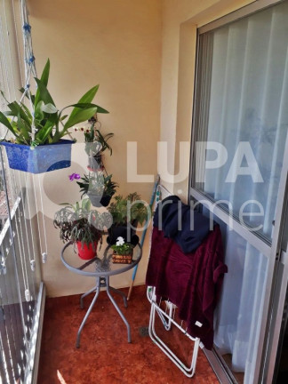 Imagem Apartamento com 2 Quartos à Venda, 63 m² em Vila Maria - São Paulo