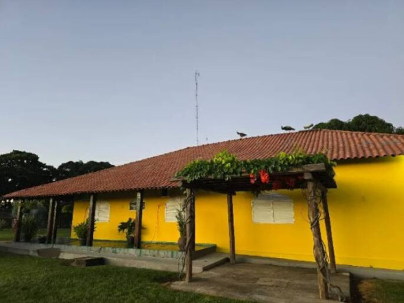 Imagem Fazenda à Venda, 11 m² em Ponte Rio Palmeiral - Mundo Novo Imagem Fazenda à Venda, 11 m² em Ponte Rio Palmeiral - Mundo Novo