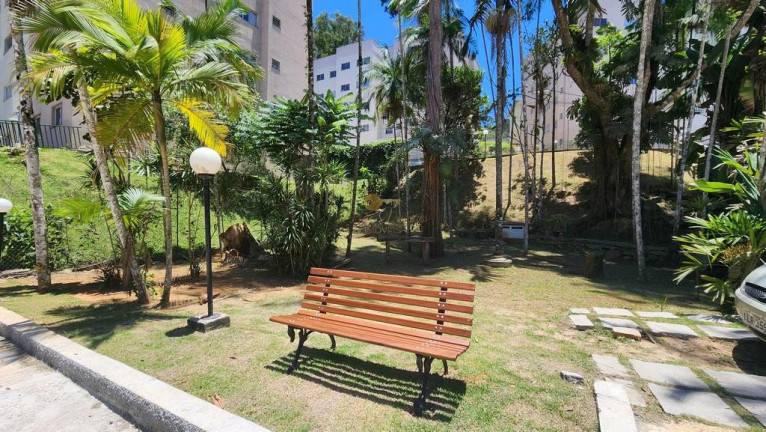 Imagem Apartamento com 2 Quartos à Venda, 54 m² em Pimenteiras - Teresópolis