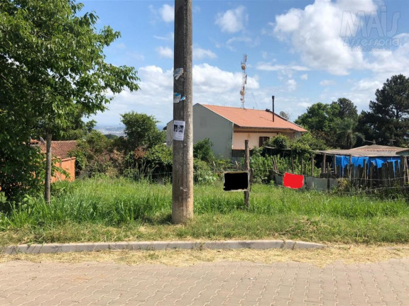 Terreno à Venda,  em Campestre - São Leopoldo