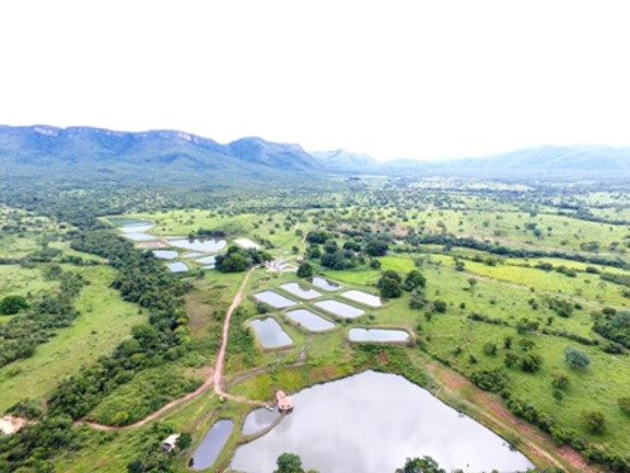 Imagem Imóvel à Venda, em Monte Alegre De Goiás - Monte Alegre De Goiás Imagem Imóvel à Venda, em Monte Alegre De Goiás - Monte Alegre De Goiás