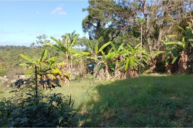 Imagem Terreno à Venda, 2.729 m² em Guaratiba - Rio De Janeiro Imagem Terreno à Venda, 2.729 m² em Guaratiba - Rio De Janeiro