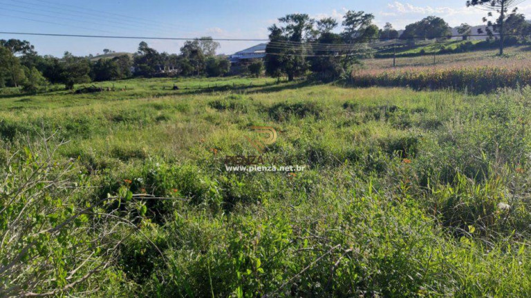 Imagem Terreno à Venda, 31.000 m² em Interior - Concórdia Imagem Terreno à Venda, 31.000 m² em Interior - Concórdia