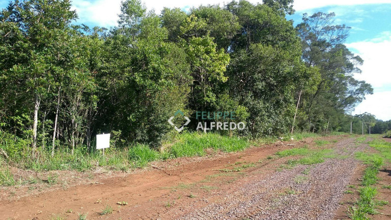 Imagem Imóvel Comercial à Venda, 9.893 m² em Loteamento Popular Picada - Dois Irmãos Imagem Imóvel Comercial à Venda, 9.893 m² em Loteamento Popular Picada - Dois Irmãos