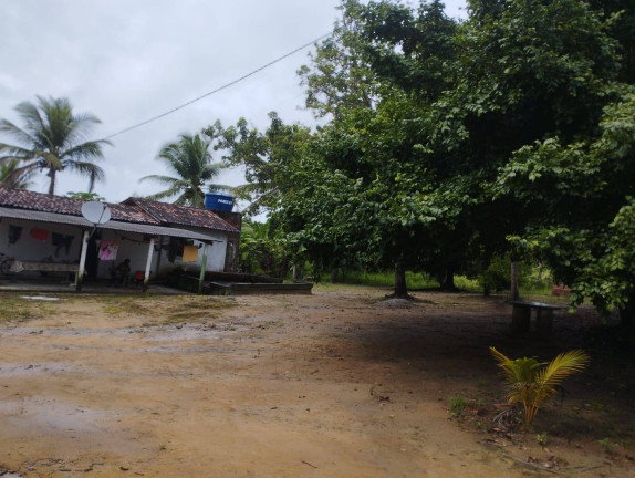 Imagem Chácara com 3 Quartos à Venda, 6.000 m² em Conde