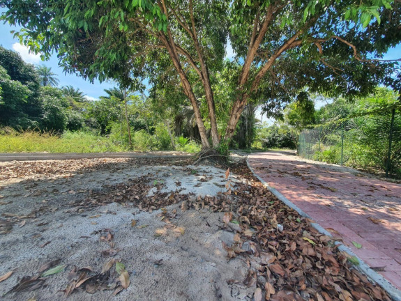 Imagem Terreno à Venda, 1.000 m² em Busca Vida - Camaçari Imagem Terreno à Venda, 1.000 m² em Busca Vida - Camaçari