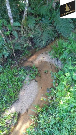 Imagem Imóvel com 2 Quartos à Venda, 24.200 m² em Lagoa Dos Ferreira - Mandirituba