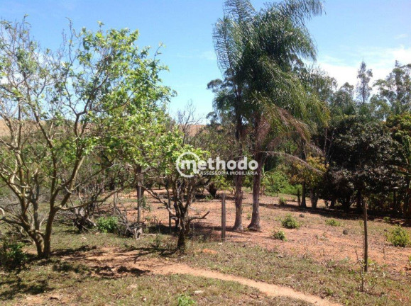 Imagem Fazenda à Venda, 420 m² em Santana - Bragança Paulista