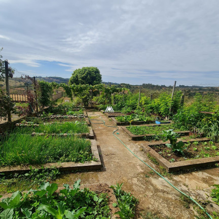 Imóvel com 4 Quartos à Venda, 20.000 m² em Zona Rural - Itatiaiuçu