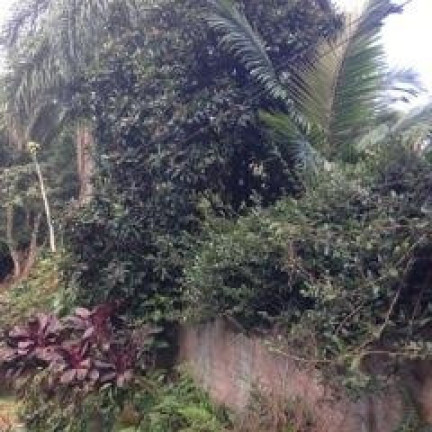 Imagem Terreno à Venda, 1.150 m² em Granja Viana - Cotia Imagem Terreno à Venda, 1.150 m² em Granja Viana - Cotia