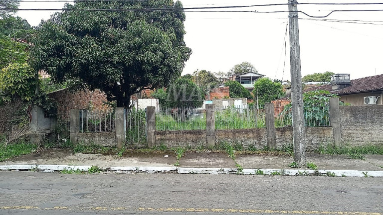 Terreno à Venda, 436 m² em Primavera - Novo Hamburgo