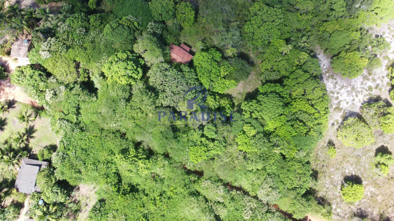 Imagem Fazenda à Venda, 592.700 m² em Monte Gordo (monte Gordo) - Camaçari
