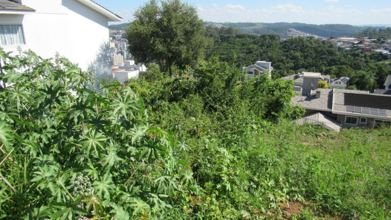 Imagem Terreno à Venda, 450 m² em Jardim - Concórdia Imagem Terreno à Venda, 450 m² em Jardim - Concórdia