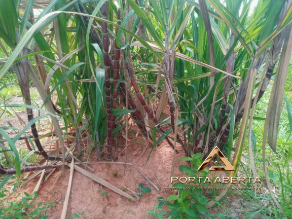 Imagem Terreno à Venda, 4.000 m² em Bom Jesus Do Galho Imagem Terreno à Venda, 4.000 m² em Bom Jesus Do Galho