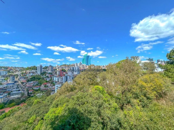 Imagem Apartamento com 2 Quartos à Venda, 45 m² em Humaitá - Bento Gonçalves