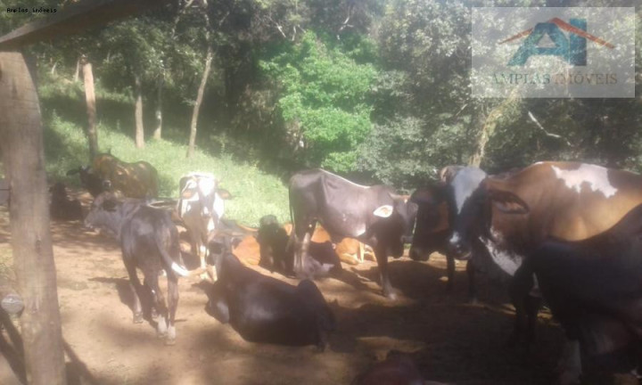 Imagem Fazenda à Venda, 37 m² em Mateus Leme - Mateus Leme