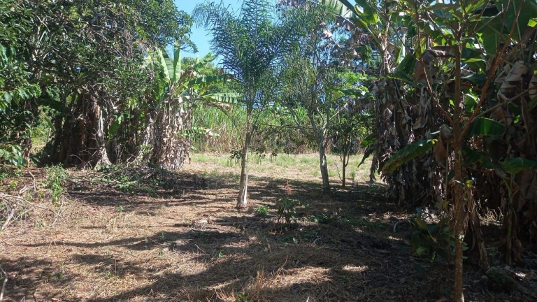 Imagem Chácara com 1 Quarto à Venda, 69 m² em Centro - Santa Branca Imagem Chácara com 1 Quarto à Venda, 69 m² em Centro - Santa Branca