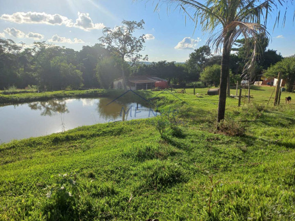 Imagem Fazenda à Venda, 65.340 m² em Bonfim - Pirassununga