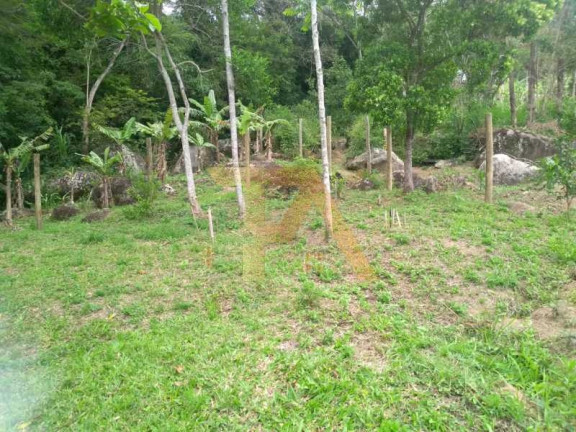 Imagem Terreno à Venda, em Macacu - Garopaba Imagem Terreno à Venda, em Macacu - Garopaba
