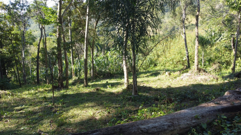 Imagem Terreno à Venda, 20.000 m² em Macacu - Garopaba Imagem Terreno à Venda, 20.000 m² em Macacu - Garopaba