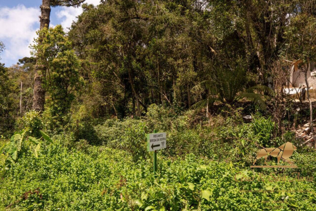 Imagem Terreno à Venda, 3.132 m² em Campos Do Jordão Imagem Terreno à Venda, 3.132 m² em Campos Do Jordão