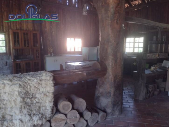 Imagem Chácara com 2 Quartos à Venda, 40 m² em Centro - Viamão