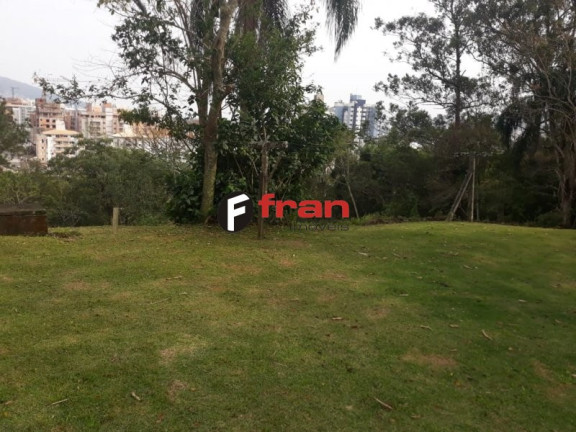 Imagem Imóvel à Venda, 44.952 m² em Córrego Grande - Florianópolis Imagem Imóvel à Venda, 44.952 m² em Córrego Grande - Florianópolis